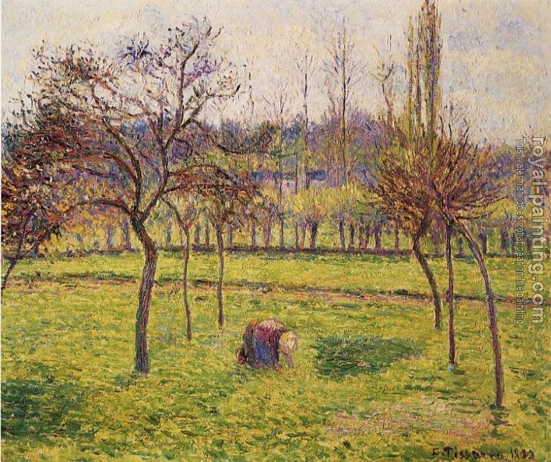 Camille Pissarro : Apple Trees in a Field